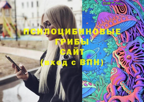 прущая мука Няндома