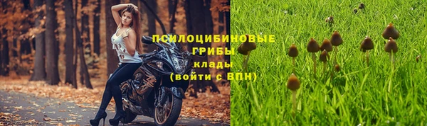 spice Новокубанск