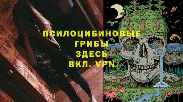 МДМА Новозыбков