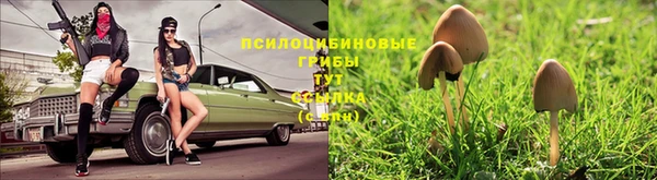 spice Новокубанск