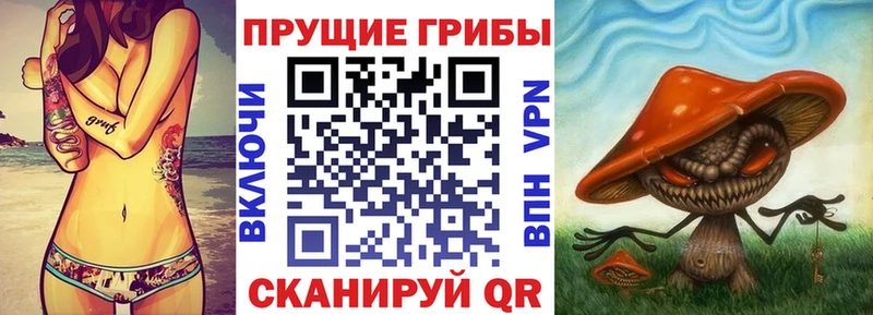 даркнет сайт  Камбарка  Псилоцибиновые грибы мухоморы 